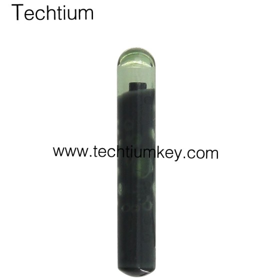 TPX2 Transponder chip